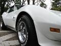 1976 Corvette Stingray Close-up