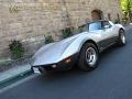 1978-corvette-silver-anniversary-012