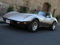 1978-corvette-silver-anniversary-013