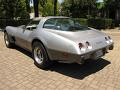 1978-corvette-silver-anniversary-019