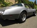1978-corvette-silver-anniversary-049