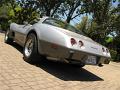 1978-corvette-silver-anniversary-107