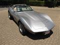 1978-corvette-silver-anniversary-111