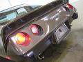 1979 Corvette Stingray L82 Tail Lights