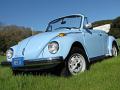1979 Volkswagen Super Beetle Convertible for Sale