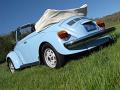 1979-vw-super-beetle-convertible-012