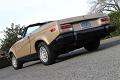 1980-triumph-tr8-010