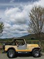 1981-jeep-cj7-renegade-9937