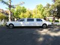 1984-bentley-limousine-253