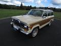 1985-jeep-grand-wagoneer-008