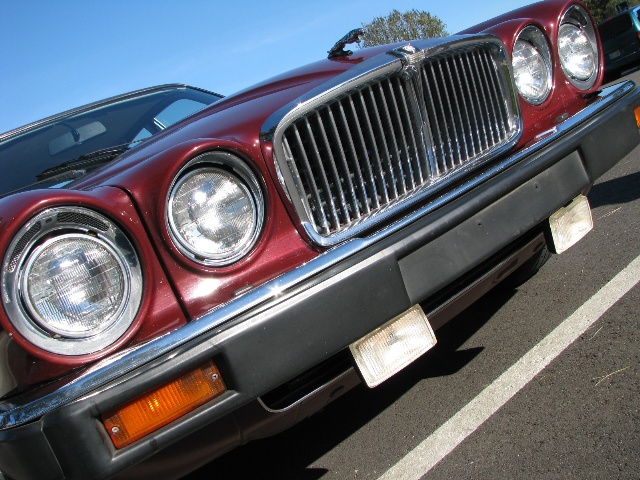 1985 Jaguar Sovereign Grille