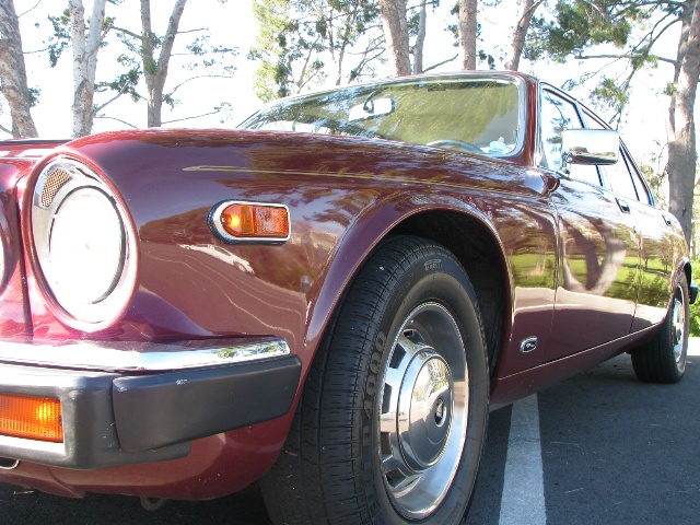 1985 Jaguar Sovereign Close-up