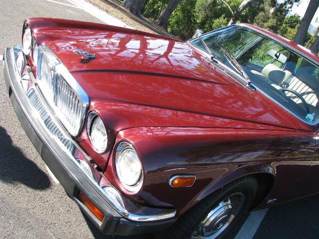 1985 Jaguar Sovereign Close-up