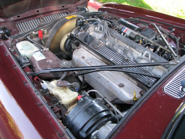 1985 Jaguar Sovereign Engine