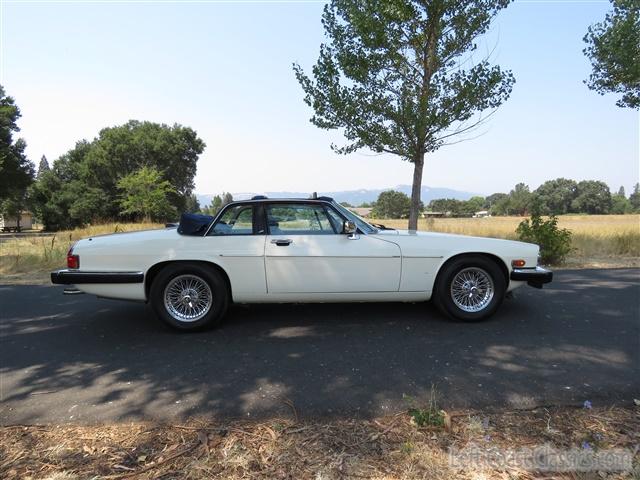 1987-jaguar-xj-sc-targa-302.jpg