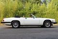 1990-jaguar-xjs-convertible-122