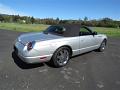 2004-ford-thunderbird-038