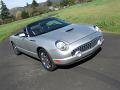 2004-ford-thunderbird-046