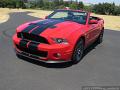 2010-ford-shelby-gt500-007