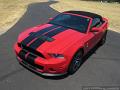 2010-ford-shelby-gt500-012