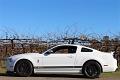 2014-mustang-shelby-gt500-007