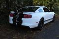2014-mustang-shelby-gt500-021