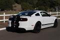2014-mustang-shelby-gt500-022