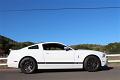 2014-mustang-shelby-gt500-027