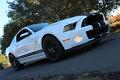 2014-mustang-shelby-gt500-036