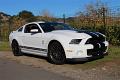 2014-mustang-shelby-gt500-037