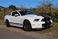 2014-mustang-shelby-gt500-038