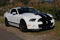 2014-mustang-shelby-gt500-040